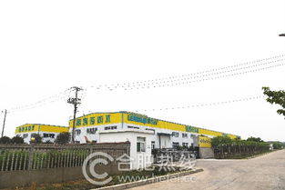 家裝防水貓膩多 合肥論壇實(shí)探,為您揭秘防水涂料的制作過(guò)程